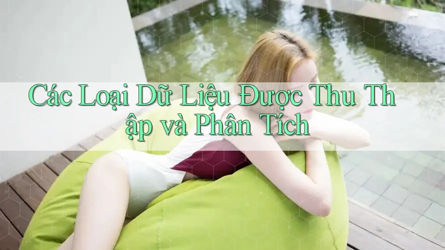 Các Loại Dữ Liệu Được Thu Thập và Phân Tích Các Loại Dữ Liệu Được Thu Thập và Phân Tích