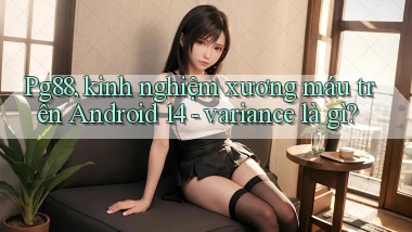Pg88, kinh nghiệm xương máu trên Android 14   variance là gì