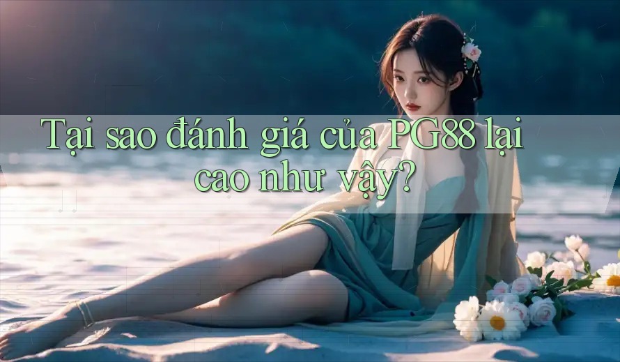 Tại sao đánh giá của PG88 lại cao như vậy? Tại sao đánh giá của PG88 lại cao như vậy?
